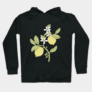 Lemons Hoodie